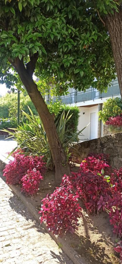 Pensao Continental Machado Hotel Caldelas Kültér fotó